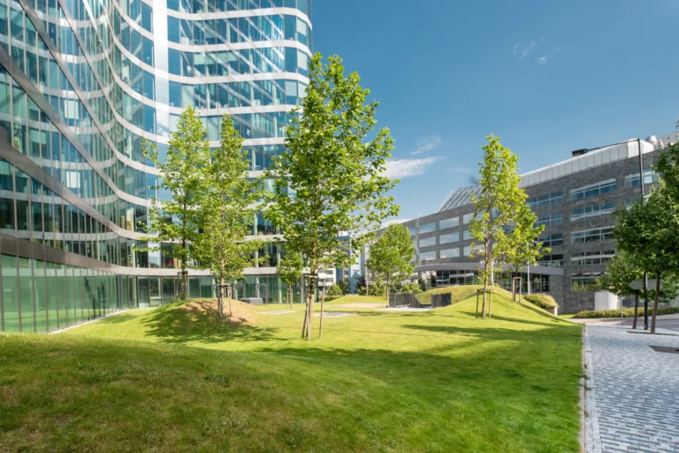 Modern glass office buildings around a green lawn with young trees